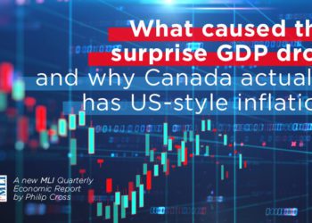 Persistent lockdowns, poor business investment drive surprise drop in GDP: New Quarterly Economic Report