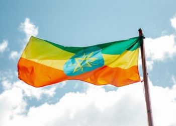 Why the US needs to reset its approach to the conflict in Ethiopia: Yonas Biru for Inside Policy