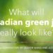 What will Canadian green jobs really look like?