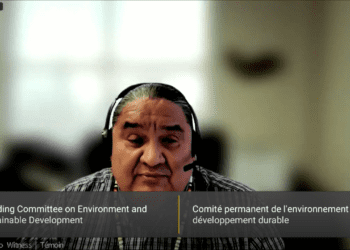 Fossil fuel subsidies are used to support Indigenous communities: Stephen Buffalo