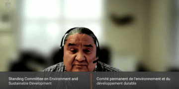 Fossil fuel subsidies are used to support Indigenous communities: Stephen Buffalo