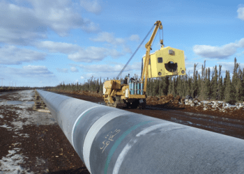 A $100-million hummingbird nest and other Trans Mountain absurdities: Heather Exner-Pirot in the Edmonton Journal