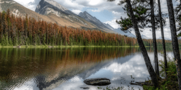 The collateral damage of Trudeau’s war on climate change: Jamil Jivani in the National Post