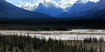 The great Saskatchewan River Delta is a good place to start resetting our ecological compass: Ken Coates in the Globe and Mail