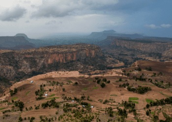 Peace in Ethiopia requires exiling TPLF leaders to a safe haven: Yonas Biru for Inside Policy