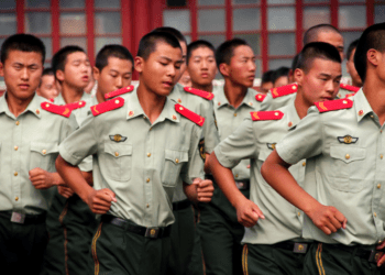 Why are Chinese police operating in Canada, while our own government and security services apparently look the other way?: Charles Burton in the Globe and Mail