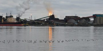 Corporate welfare for those that don’t need it: Jack Mintz in the Financial Post