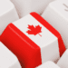 Bill C-11 puts Canada’s online prosperity at risk: Peter Menzies