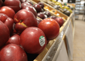 Inflation is a tax, a big one: Jack Mintz in the Financial Post