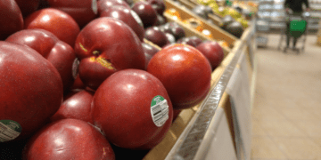 Inflation is a tax, a big one: Jack Mintz in the Financial Post