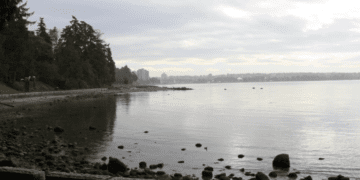 Reality’s insoluble trilemma: More people, more wealth, more green? Choose two: Philip Cross in the Financial Post