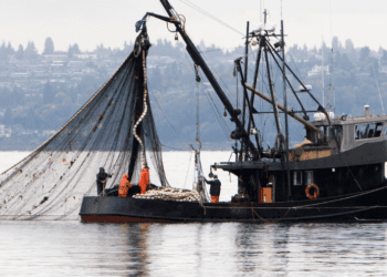 The role of markets in sustainable progress and Canada’s acceptance of the Agreement on Fisheries Subsidies: David Collins for Inside Policy