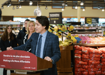 Liberals’ war on cars harms low-income Canadians: Jerome Gessaroli in the National Post