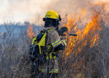 Stop blaming forest fires on climate change: Chris Sankey in the National Post