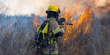 Stop blaming forest fires on climate change: Chris Sankey in the National Post