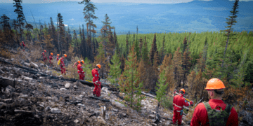 Why it makes sense to use market incentives to mitigate wildfire intensity: Jerome Gessaroli in the Vancouver Sun