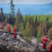 Why it makes sense to use market incentives to mitigate wildfire intensity: Jerome Gessaroli in the Vancouver Sun