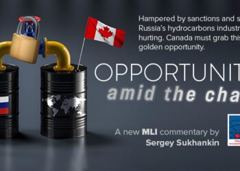 Opportunity amid the chaos: Sergey Sukhankin