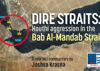 Dire Straits – Houthi aggression in the Bab al-Mandab Strait: Joshua Krasna