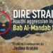 Dire Straits – Houthi aggression in the Bab al-Mandab Strait: Joshua Krasna
