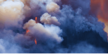 In post-disaster rebuilding, government needs to get out of the way: Jerome Gessaroli in the Financial Post