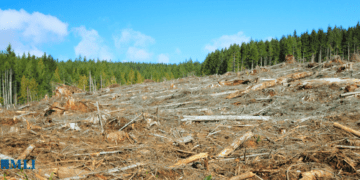 EU deforestation law could sideline Indigenous forest management: JP Gladu in the Times Colonist
