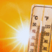 Killer heat doesn’t boost mortality rate: Philip Cross in the Financial Post