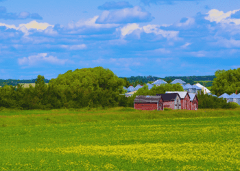 Cultivating growth – The business savvy and policies today’s farmers need to thrive: Kristjan Hebert for Inside Policy