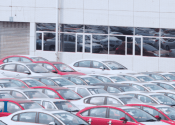 Why the big bounty on Chinese Seagulls? (The EVs, not the birds): William Watson in the Financial Post