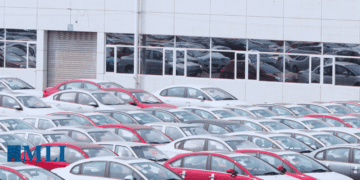 Why the big bounty on Chinese Seagulls? (The EVs, not the birds): William Watson in the Financial Post