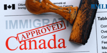 A blanket amnesty for illegal migrants would be a disaster for Canada: David L. Thomas for Inside Policy