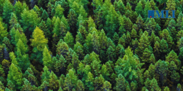 Canada’s forestry sector – Born on third Base, hampered by policy: Heather Exner-Pirot for Policy Magazine