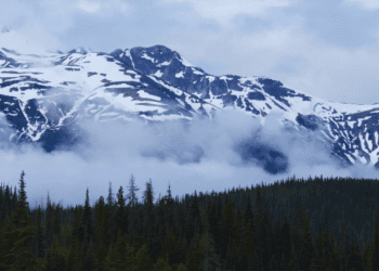 Will innovation support or undermine rural and Northern Canada?: Ken Coates and Carin Holroyd in the Hill Times