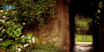Why we need gardeners: Brian Lee Crowley for Law & Liberty
