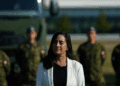 Anand’s one-sided comments on Israel a strategic blunder: Alan Kessel in the National Post