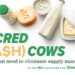 Sacred (cash) cows – The urgent need to eliminate supply management: Stuart J. Smyth
