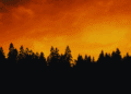 Working with First Nations on an Indigenous fire stewardship protocol could go a long way: Karen Restoule in The Hill Times