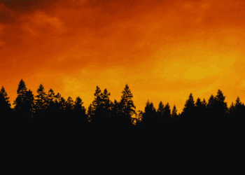 Working with First Nations on an Indigenous fire stewardship protocol could go a long way: Karen Restoule in The Hill Times