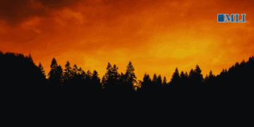 Working with First Nations on an Indigenous fire stewardship protocol could go a long way: Karen Restoule in The Hill Times