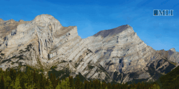 Kananaskis G7… summit interruptus: Stephen Nagy in the Western Standard