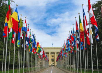 UN committee rightly calls out Canada’s systemic devaluation of disability: David Shannon in Canadian Affairs