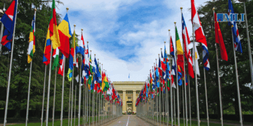 UN committee rightly calls out Canada’s systemic devaluation of disability: David Shannon in Canadian Affairs
