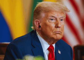 Trump’s latest tariff threats: Brian Lee Crowley on CBC News