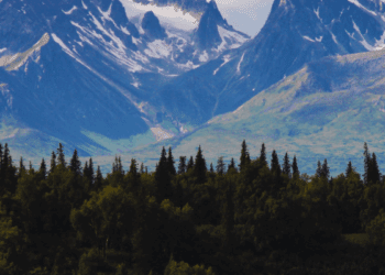 Reconciliation requires looking back to move forward: Karen Restoule in The Hub