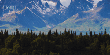 Reconciliation requires looking back to move forward: Karen Restoule in The Hub