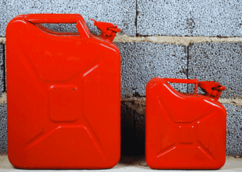 The green energy myth is condemning Africa to poverty: Brenda Shaffer in the National Post