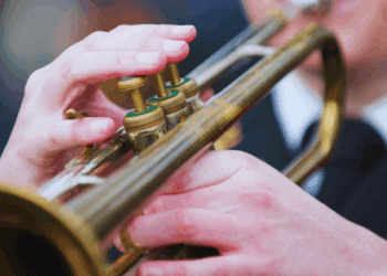 On Remembrance Day, honour the fallen, and the country they fought for: Anthony De Luca-Baratta in the Toronto Sun