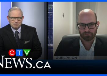 The troubling rise of violent crime in Canada: Dave Snow on CTV News