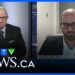The troubling rise of violent crime in Canada: Dave Snow on CTV News