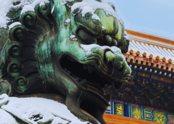 What if Carney is wrong?: Stephen Nagy in National Newswatch